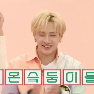 Sticker from ;BangChan @mysaviorbtss