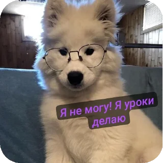 Sticker from Для друзей