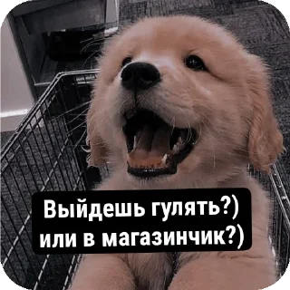 Sticker from Для друзей