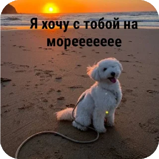Sticker from Для друзей