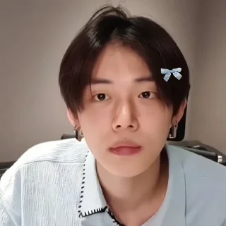 Sticker from ─ ٠﹙ @chrryllee  ︰  foxyjunie