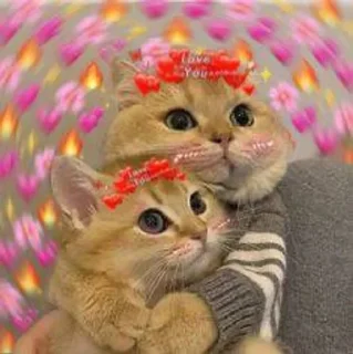 💓 emoji Discussion!(^▽^) pack by @QuotLyBot Telegram sticker 21 of 80
