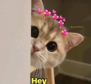 ❤️ emoji Discussion!(^▽^) pack by @QuotLyBot Telegram sticker 9 of 80