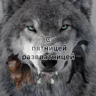 Sticker from Фо Хорни Волк любимый