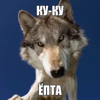 Sticker from Фо Хорни Волк любимый