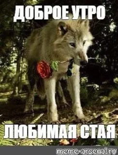 Sticker from Фо Хорни Волк любимый
