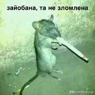 Sticker from ну геній