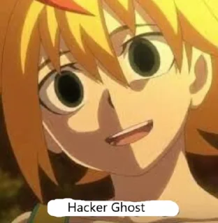 Sticker from Hacker Ghost