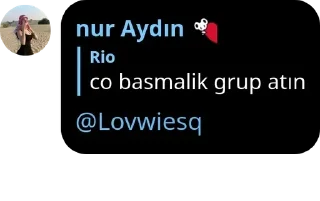 Sticker from 𝙡𝙤𝙫𝙬𝙞𝙚𝙨𝙦 🇹🇷 pack by @QuotLyBot