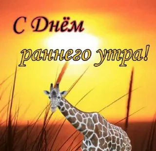 Sticker from винегрет 🥗
