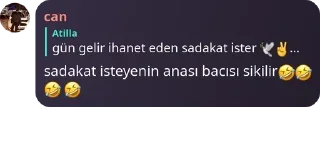 🤣 emoji Yaşasın liseliler😏 pack by @QuotLyBot Telegram sticker 12 of 120