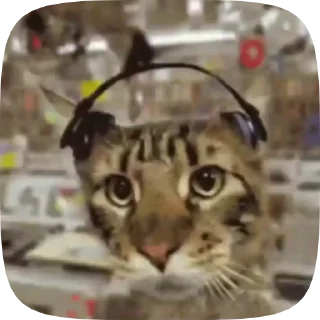 😼 emoji Стикеры тут: @stikeryv Telegram sticker 21 of 24
