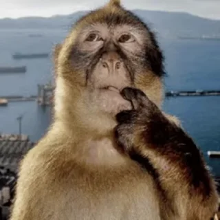 ⭐ emoji ВСЕ CТИКИ ТУТ @sekstick Telegram sticker 5 of 30