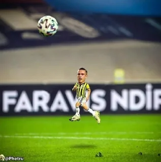 🙈 emoji Fenerbahçe Souls pack by @QuotLyBot Telegram sticker 23 of 120