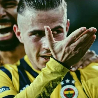 💙 emoji Fenerbahçe Souls pack by @QuotLyBot Telegram sticker 19 of 120