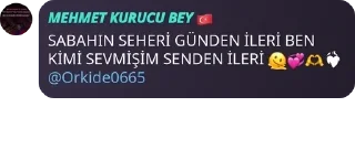 💞 emoji 𝙎𝙊𝙃𝘽𝙀𝙏 𝙎𝙊𝙆𝘼Ğ𝙄 🇹🇷 pack by @QuotLyBot Telegram sticker 19 of 120