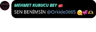 💞 emoji 𝙎𝙊𝙃𝘽𝙀𝙏 𝙎𝙊𝙆𝘼Ğ𝙄 🇹🇷 pack by @QuotLyBot Telegram sticker 22 of 120