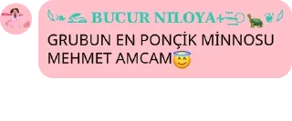 😇 emoji 𝙎𝙊𝙃𝘽𝙀𝙏 𝙎𝙊𝙆𝘼Ğ𝙄 🇹🇷 pack by @QuotLyBot Telegram sticker 19 of 33