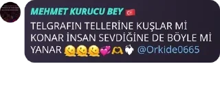 💞 emoji 𝙎𝙊𝙃𝘽𝙀𝙏 𝙎𝙊𝙆𝘼Ğ𝙄 🇹🇷 pack by @QuotLyBot Telegram sticker 20 of 120