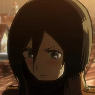 Sticker from [Mikasa Ackerman]