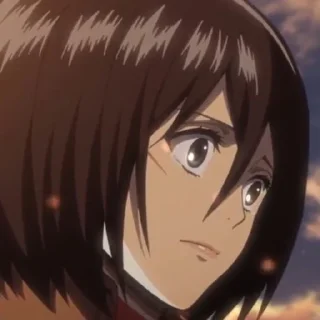 Sticker from [Mikasa Ackerman]