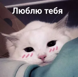 🥰 emoji Больше стикеров → @funny_stickerss Telegram sticker 3 of 45