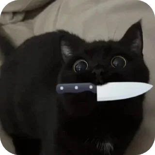 🐱 emoji Больше стикеров → @funny_stickerss Telegram sticker 23 of 45