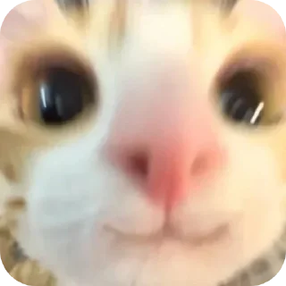 ☺️ emoji Больше стикеров → @funny_stickerss Telegram sticker 14 of 45
