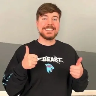 Sticker from mrbeastt
