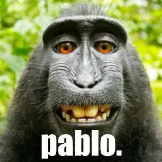 Sticker from Pablo