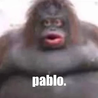 Sticker from Pablo