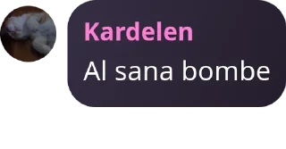 🏄 emoji ÖĞRENCİ | SOHBET GRUBU pack by @QuotLyBot Telegram sticker 17 of 120