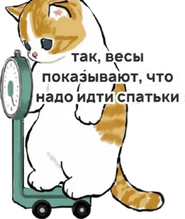 Sticker from котик