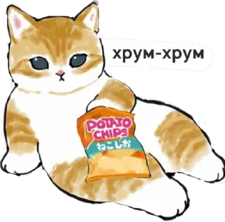 Sticker from котик