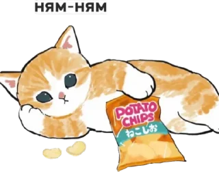 Sticker from котик