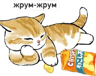 Sticker from котик