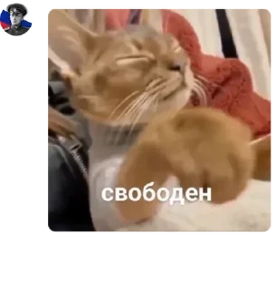 🇹🇷 emoji 🇷🇺 Русская Империя 🇷🇺 pack by @QuotLyBot Telegram sticker 3 of 120