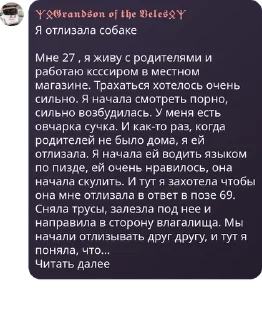 👩‍🤝‍👩 emoji 🇷🇺 Русская Империя 🇷🇺 pack by @QuotLyBot Telegram sticker 16 of 120