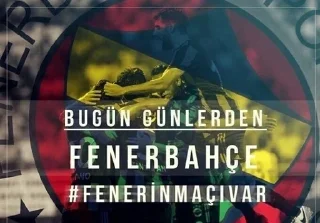 🌟 emoji Fenerbahçe Souls pack by @QuotLyBot Telegram sticker 18 of 71