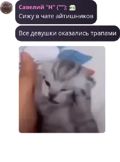 Sticker from Дурдом "ВЕСЕЛКА" v2.0 pack by @QuotLyBot