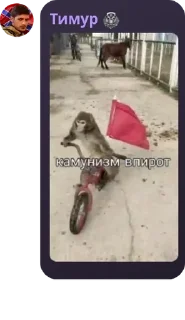 💅 emoji 🇷🇺 ЧВК "Русская Империя" 🇷� pack by @QuotLyBot Telegram sticker 15 of 120