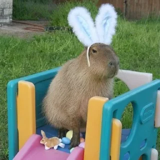 Sticker from Femboy Capybaras