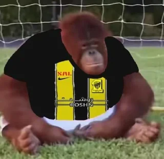 Sticker from Kick Orangutan