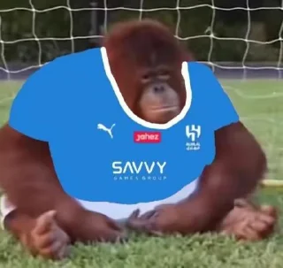 Sticker from Kick Orangutan