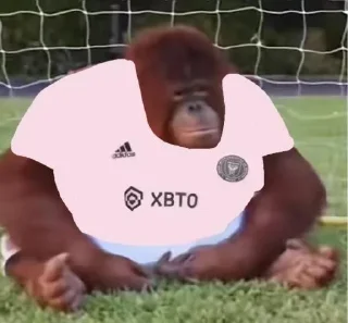 Sticker from Kick Orangutan