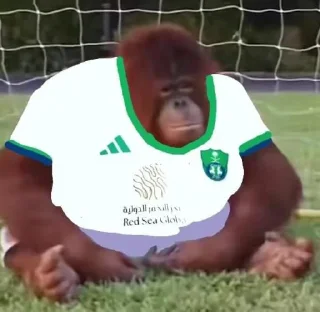 Sticker from Kick Orangutan