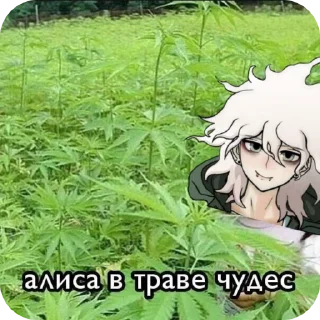 🌟 emoji Доза тпох Telegram sticker 6 of 35
