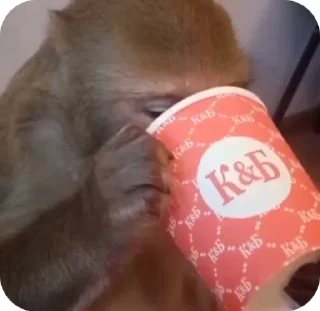 🥤 emoji бибибяно  @bibizianibibiziabi Telegram sticker 5 of 23