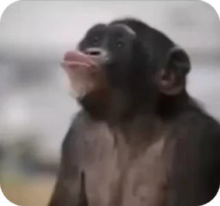 😛 emoji бибибяно  @bibizianibibiziabi Telegram sticker 18 of 23