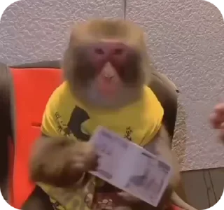 🤑 emoji бибибяно  @bibizianibibiziabi Telegram sticker 15 of 23
